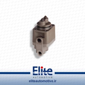 سوزنی ایویکو