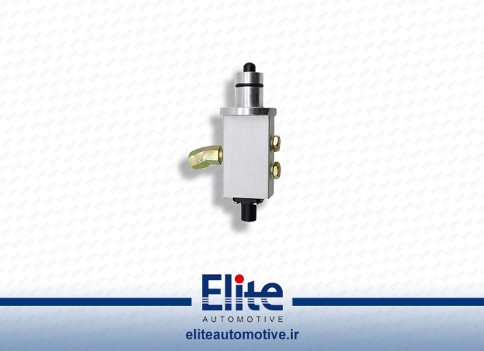 سوزنی کتابی دانگ فنگ