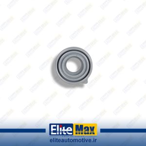 گردگیر بزرگ FH 12