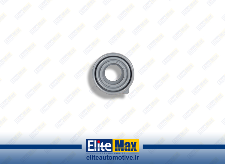 گردگیر بزرگ FH 12