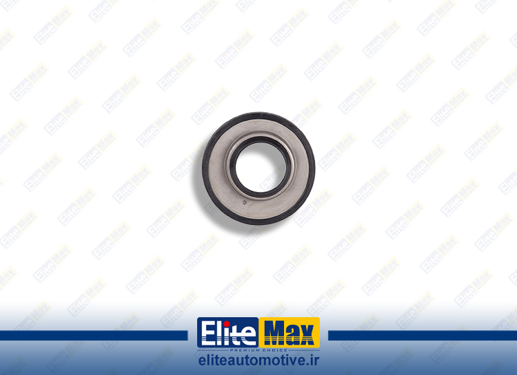 گردگیر دنده FH 12